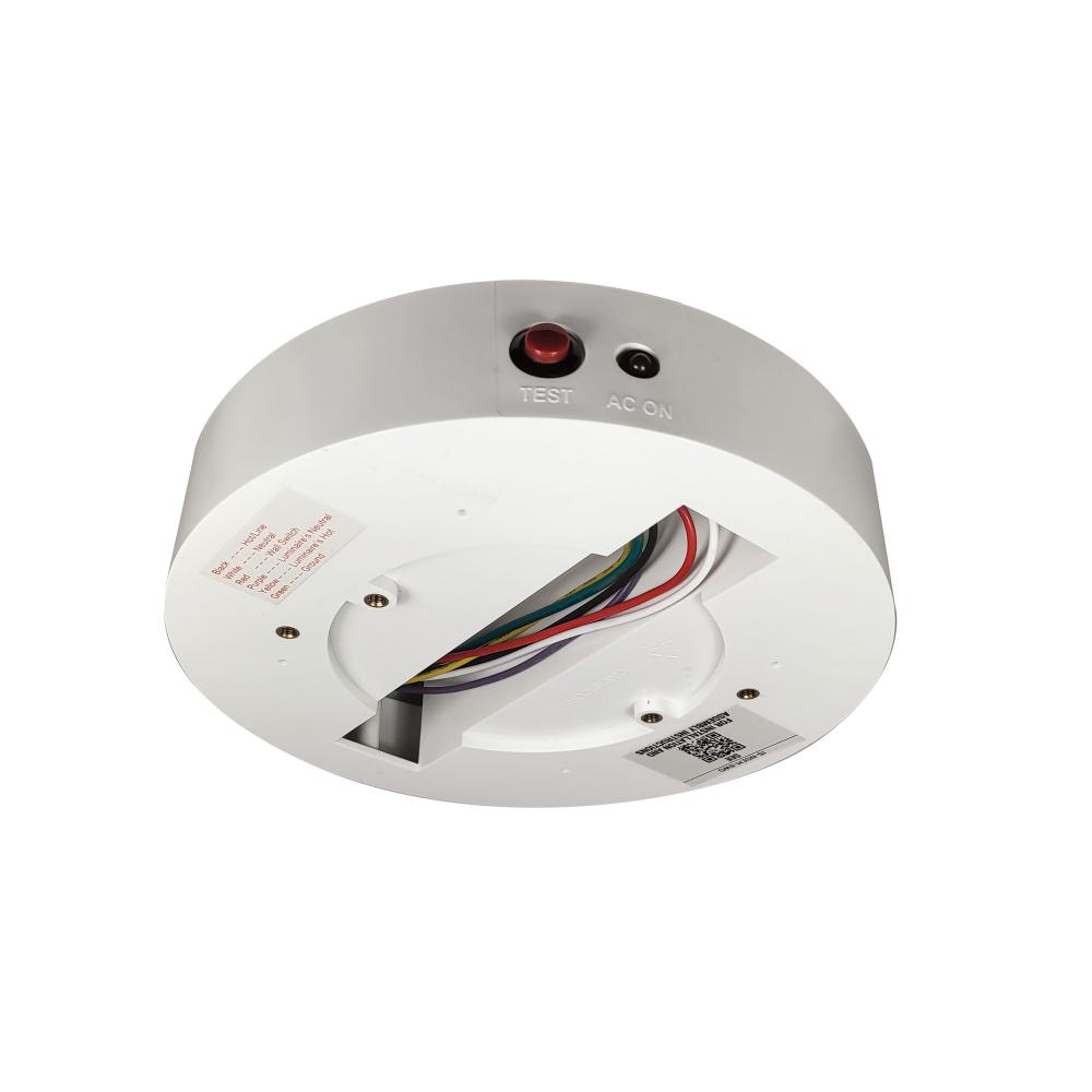 Enclosure with Emergency Driver for 6" ELO