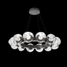 Hammerton CHB0095-36-GP-ZC-CA1-L1 - Luna Radial Ring - 36-Inch