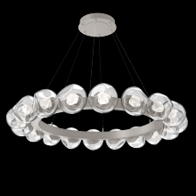 Hammerton CHB0095-48-BS-ZC-CA1-L1 - Luna Radial Ring - 48-Inch