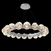 Hammerton CHB0095-48-CS-FA-CA1-L1 - Luna Radial Ring - 48-Inch