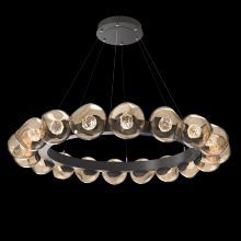 Hammerton CHB0095-48-GP-FB-CA1-L1 - Luna Radial Ring - 48-Inch