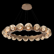 Hammerton CHB0095-48-NB-FB-CA1-L1 - Luna Radial Ring - 48-Inch