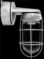 VAPORPROOF VXBR 100W WALL BRACKET 4 INCHES BOX 3/4 INCH WITH GLASS GLOBE WIRE GUARD