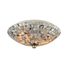 ELK Home Plus 10401/2 - FLUSH MOUNT