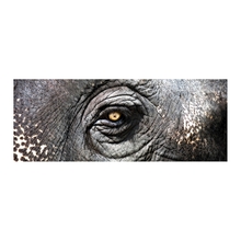 ELK Home Plus 146-025 - WALL ART
