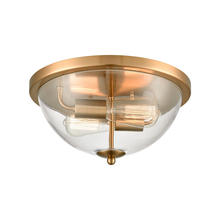 ELK Home Plus CN280235 - FLUSH MOUNT