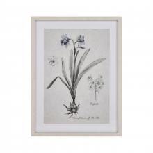 ELK Home Plus S0056-10634 - Daffodil Botanic Framed Wall Art