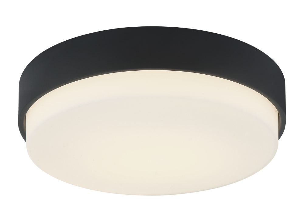 Quintz Matte Black Ceiling Mount