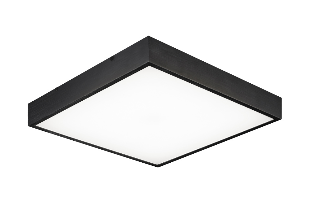 Kashi Oxidized Black Ceiling Mount