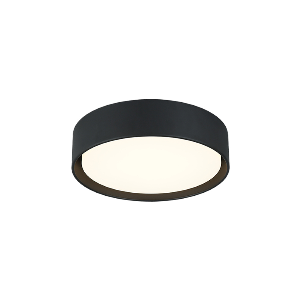 Ezra Matte Black Ceiling Mount