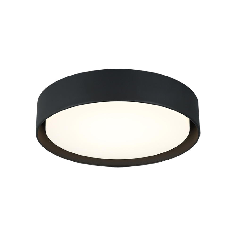 Ezra Matte Black Ceiling Mount