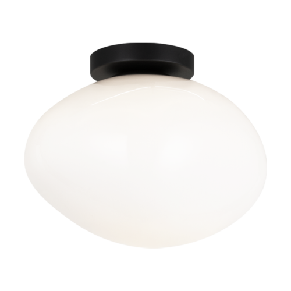 Melotte Black Wall Sconce / Ceiling Mount