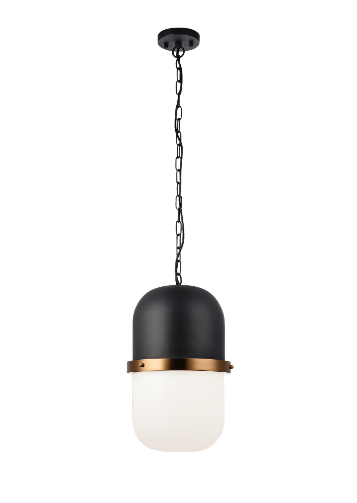 Tillie Matte Black Pendant