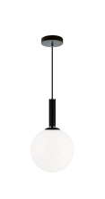 C75311BKOP_B.jpg