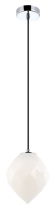 C78001OP_B.jpg