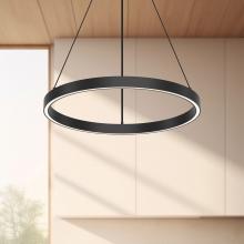 CERCHIO_PD87718-BK-UNV-010_CROPLS.jpg