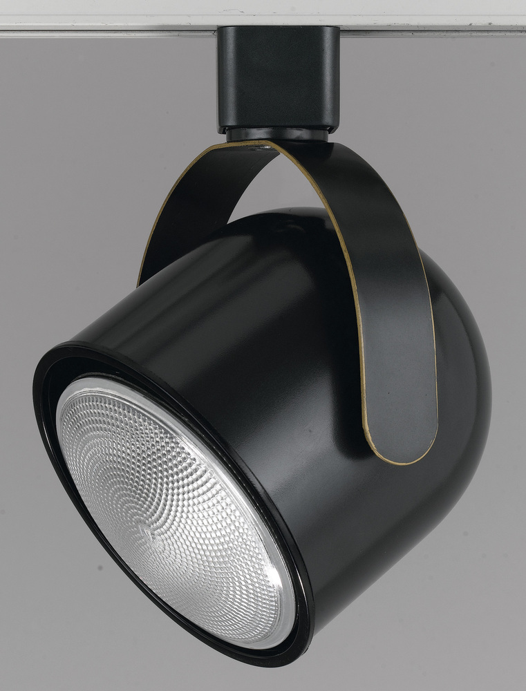 Par 30, Line Voltage Fixture