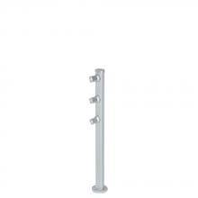 Jesco SD105CC102550-S - 10 Inch LED Mizar Pole