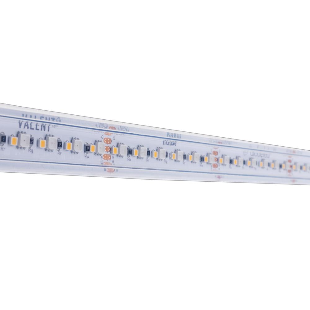 STRIP/TAPE LIGHT