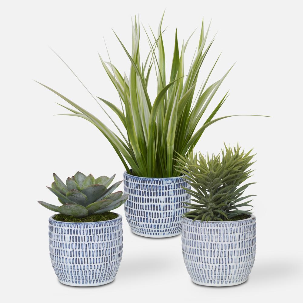 Uttermost Puebla Greenery In Blue & White Pots Set/3